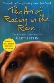 The Art of Racing in the Rain / Stein Garth