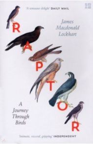 Raptor. A Journey Through Birds / Lockhart James Macdonald