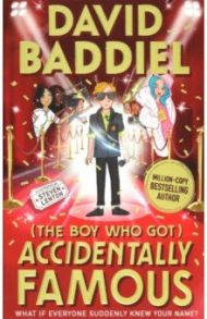 The Boy Who Got Accidentally Famous / Baddiel David