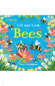 Lift and Look Bees / Cottingham Tracy