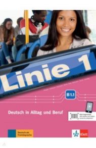 Linie 1 B1.1. Deutsch in Alltag und Beruf. Kurs- und Ubungsbuch mit Audios und Videos + DVD-ROM / Dengler Stefanie, Kaufmann Susan, Hoffmann Ludwig