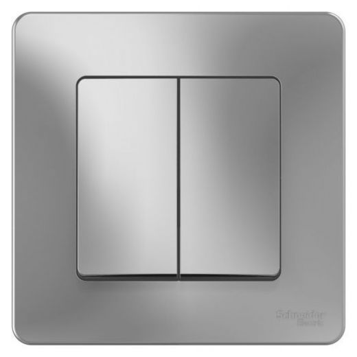 Выключатель Schneider Electric Blanca BLNVS010503 двухклавишный алюминий
