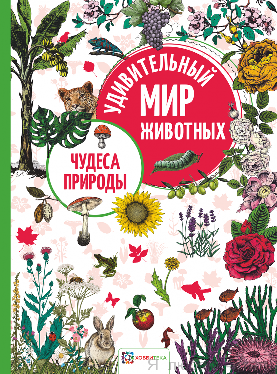 Чудеса природы