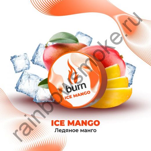 Burn 200 гр - Ice Mango (Ледяное Манго)