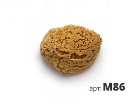 Губка Морская Натуральная Stmdecor M86 17-18см.