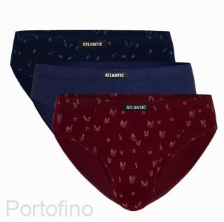 3MP-100/04 atlantic трусы