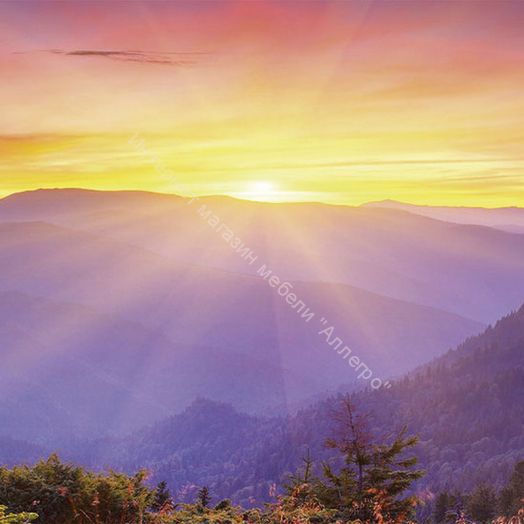 Стеновая панель SP 228 2800 мм