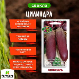 Семена Свекла столовая Цилиндра  3гр.