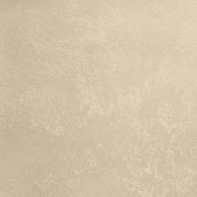 Декоративная Штукатурка Decorazza Aretino 5л AR 10-21 с Эффектом Перламутровых Переливов / Декоразза Аретино.