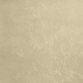 Декоративная Штукатурка Decorazza Aretino 5л AR 10-07 с Эффектом Перламутровых Переливов / Декоразза Аретино.