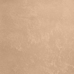 Декоративная Штукатурка Decorazza Aretino 5л AR 10-06 с Эффектом Перламутровых Переливов / Декоразза Аретино.