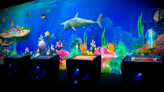 Ожившие рисунки комплект №3 (Компьютер+Проектор + Планшет 10"+Софт + комплект Master Touch)