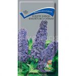 Buddleya-Davida-Fioletovo-Golubaya-0-01-g-Poisk