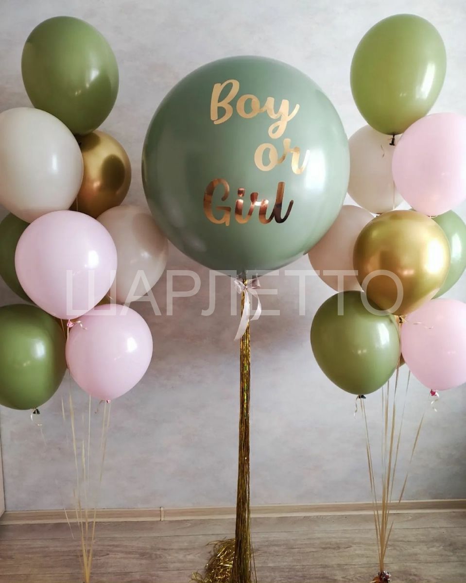 "Gender party"