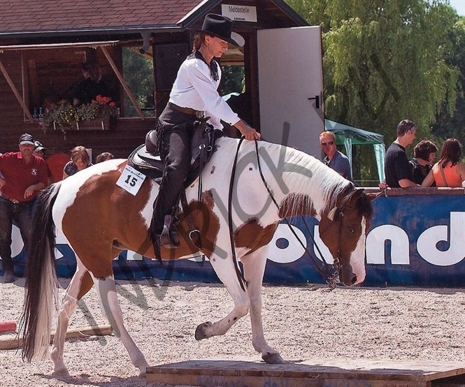 Безленчиковое седло Barefoot PRO Arizona