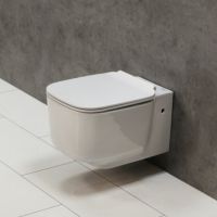 Безободковый унитаз BelBagno Vaso (Васо) BB127CH схема 1