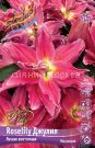 Liliya-ROSELILY-DZhULIya-ROSELILY-JULIA-vostochnaya-mahrovaya-12-14-1-sht