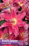 Liliya-ROSELILY-DZhULIya-ROSELILY-JULIA-vostochnaya-mahrovaya-12-14-1-sht