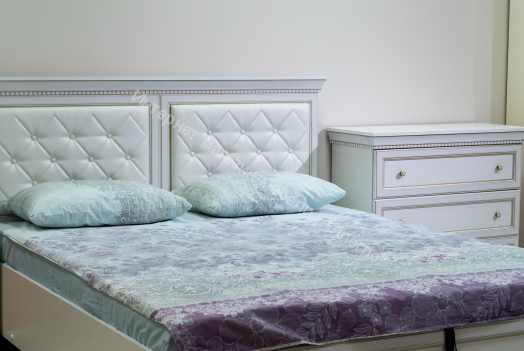 Кровать 40.13 - 03 (1600) Эльмира с ортопедическим осн., Белый/Белая кожа патина