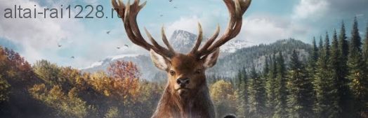 сбор " Импульс" мозговой штурм от  усталости и старости