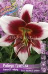 Liliya-ROBeRT-GRIZBAH-ROBERT-GRIESBACH-OT-gibrid-12-14-1-sht