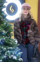 купить авиоледи из соболя фото