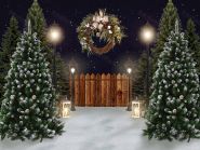 Фон стена "Fir №32 Night"