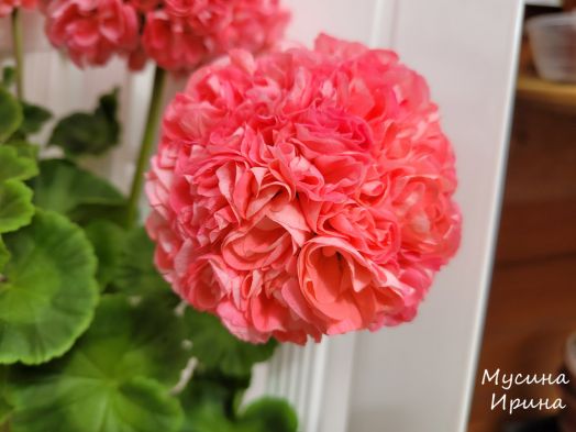 Свет Радонеж № 0367