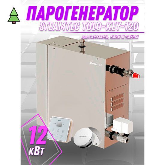 Парогенератор для хамама Steamtec TOLO KEY 120 - 12 кВт с влагостойким пультом управления