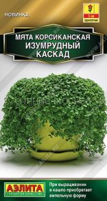 Мята корсиканская Изумрудный каскад 3 шт. (Аэлита)