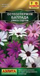 Osteospermum-Ballada-smes-sortov-10-sht-Ajelita