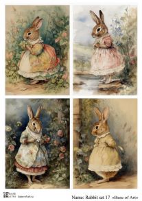 Rabbit set 17