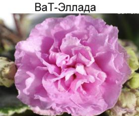 ВаТ-Эллада (Валькова)