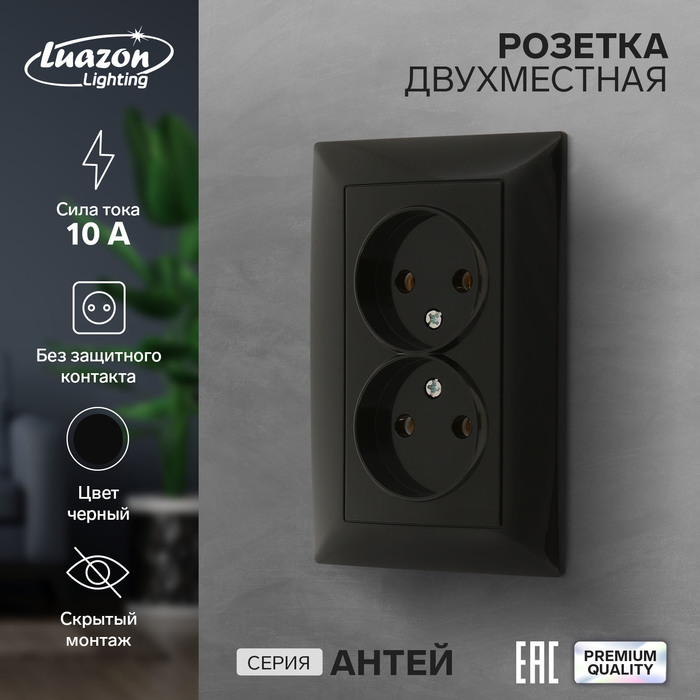 Розетка двухместная Luazon Lighting "Антей", 10 А, скрытая, без з/к, черная