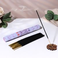 Благовония HEM "Vanilla. Ваниль", 20 палочек в упаковке, шестигранник