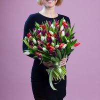 101 тюльпан белый, сиреневый, красный