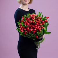 101 красный тюльпан