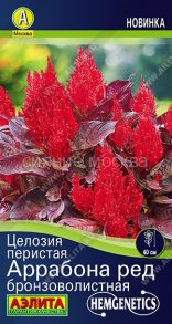 Целозия перистая Аррабона ред бронзоволистная, 7 шт (Аэлита)