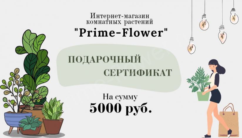 Подарочный сертификат