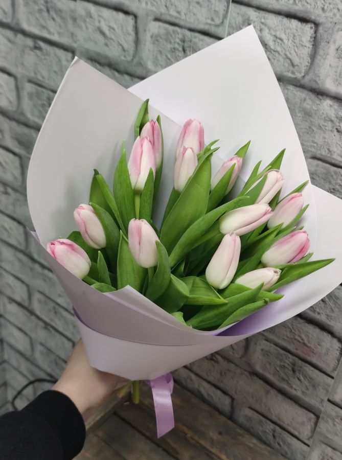 Нежный тюльпан