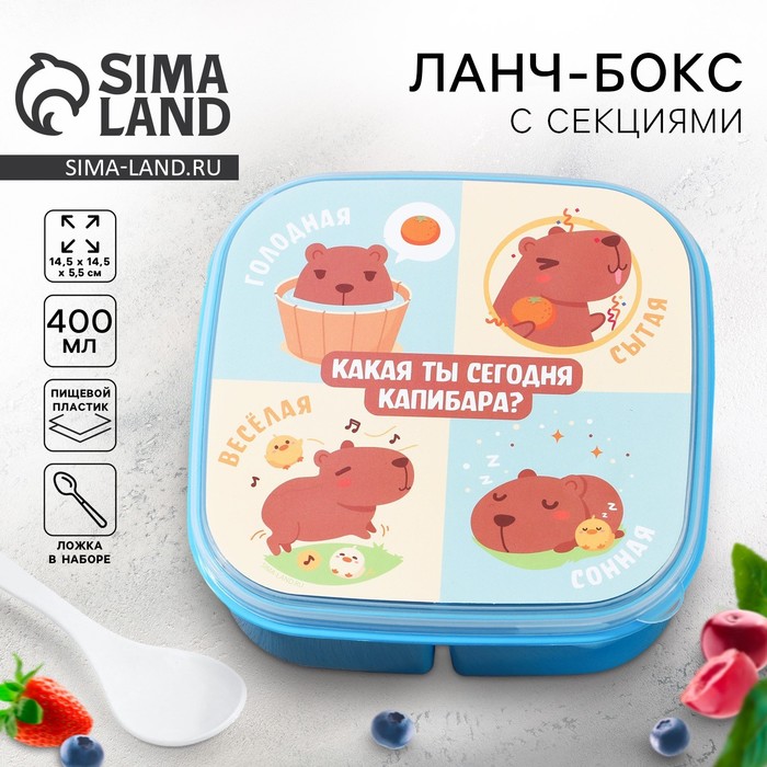 Ланч - бокс квадратный с секциями «Капибара», 14,5 х 6 см