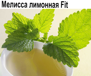 Мелисса лимонная Fit