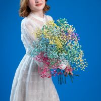 гипсофила крашенная микс 11 веток