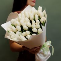 Белые тюльпаны