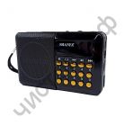 Р/п SHANFA H044U (USB, TF,3,5 мм ,18650)