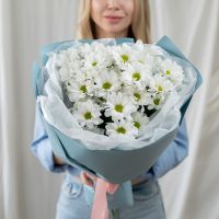 Кустовая хризантема Ромашка 3 шт