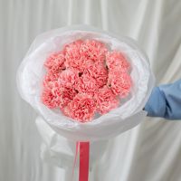 15 розовых диантусов