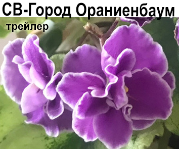 СВ-Город Ораниенбаум (О.Емельянова)   СКОРО В ПРОДАЖЕ!