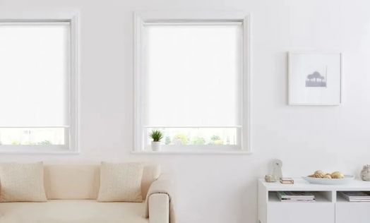 Рулонная штора для окон и дверей Точка Роста (белая)