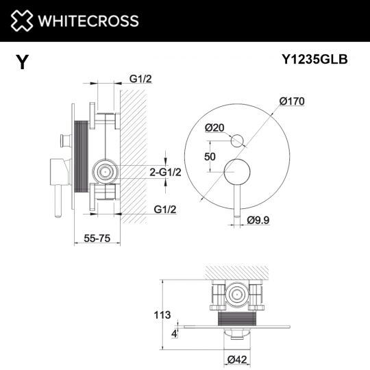 Встраиваемый смеситель для душа WHITECROSS Y Y1235GLB золото ФОТО